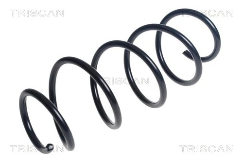 Ressort de suspension TRISCAN 8750 24221