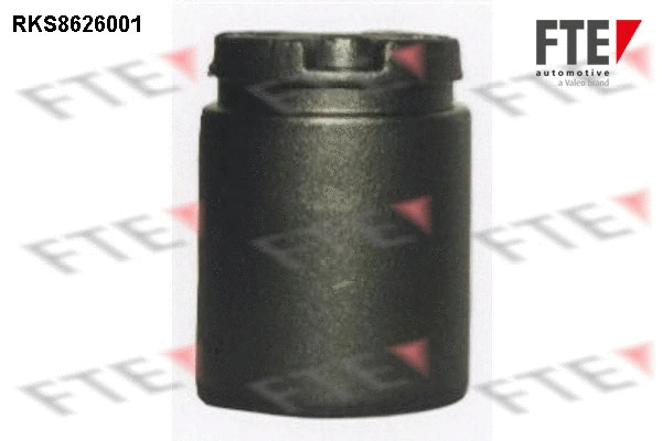 Piston, étrier de frein FTE 9313230