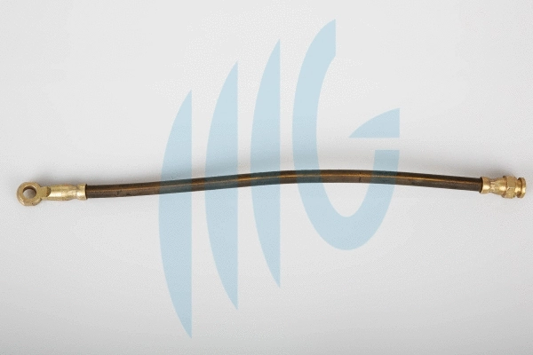 Flexible de frein RICAMBIFLEX GM 02500618