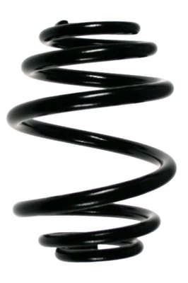 Ressort de suspension SPIDAN 48925