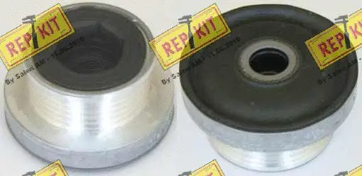 Poulie roue libre, alternateur REPKIT RKT2719