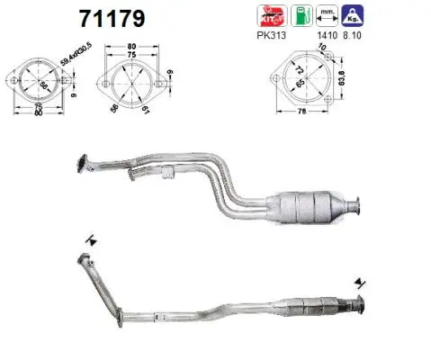 Catalyseur AS 71179