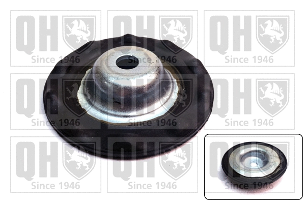Patin de ressort QUINTON HAZELL EMR4901
