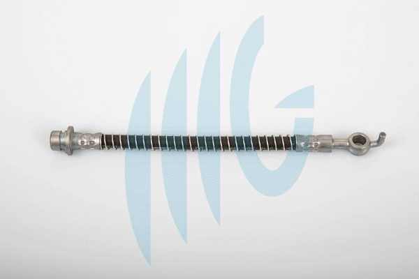 Flexible de frein RICAMBIFLEX GM 02280444