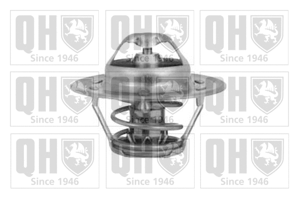 Thermostat, liquide de refroidissement QUINTON HAZELL QTH396