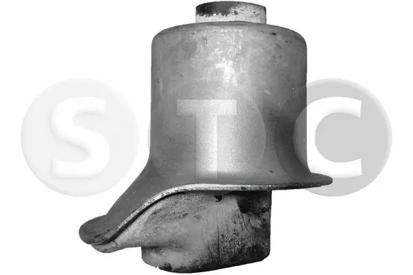 Suspension, corps de l'essieu STC T402856