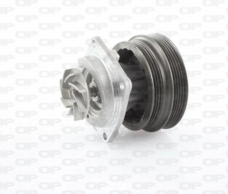 Pompe à eau, refroidissement du moteur OPEN PARTS WAP8217.00