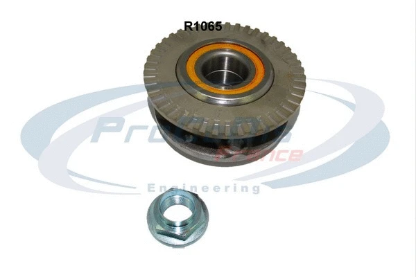 Kit de roulements de roue PROCODIS FRANCE R1065