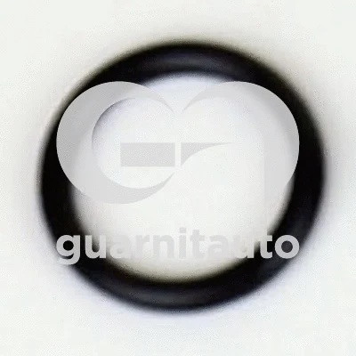 Joint, collecteur d'admission GUARNITAUTO 183688-8000