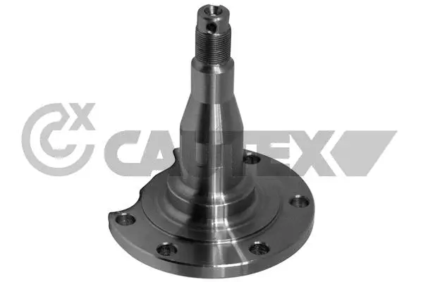 Fusée d'essieu, suspension de roue CAUTEX 771745