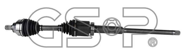 Arbre de transmission GSP-BR 262100