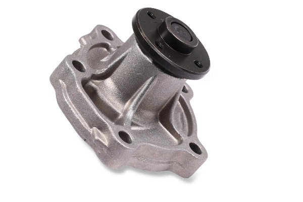 Pompe à eau, refroidissement du moteur GK 987521