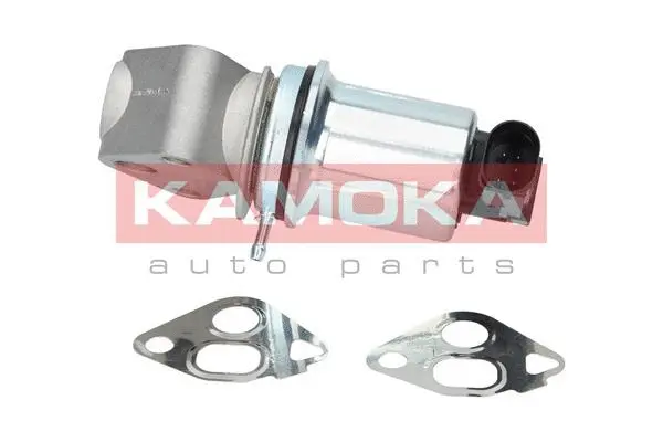 Vanne EGR KAMOKA 19006