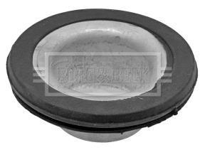Patin de ressort BORG & BECK BSM5365