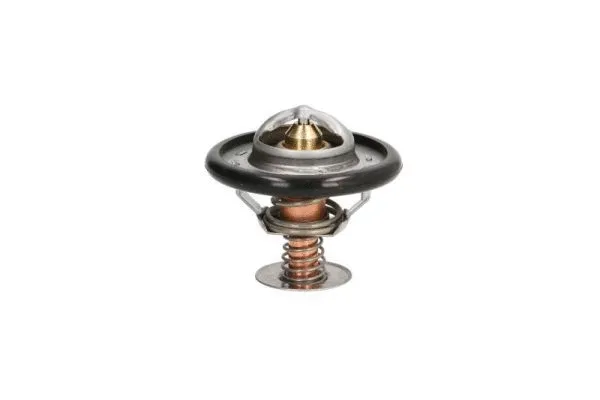 Thermostat, liquide de refroidissement THERMOTEC D2C002TT