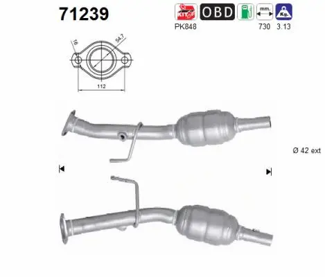 Catalyseur AS 71239