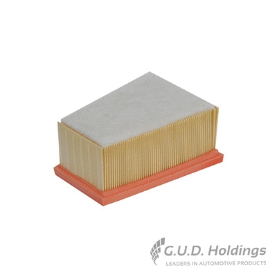 Filtre à air GUD AG985