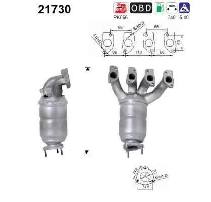 Catalyseur AS 21730