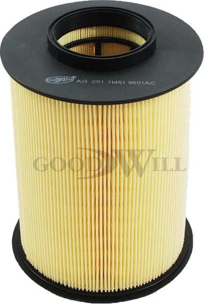 Filtre à air GOODWILL AG 251