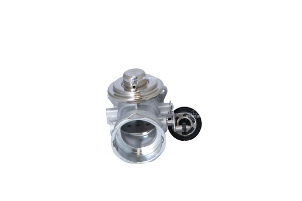 Vanne EGR WILMINK GROUP WG2161801