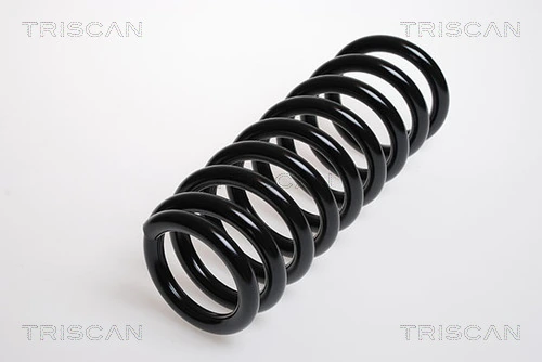 Ressort de suspension TRISCAN 8750 6910