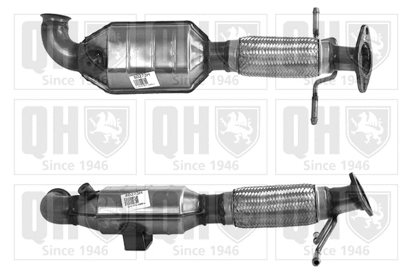 Catalyseur QUINTON HAZELL QCAT80273H