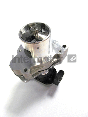 Vanne EGR INTERMOTOR 18015