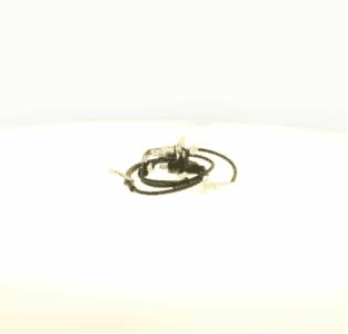 Capteur, vitesse de roue A.Z. Meisterteile AZMT-49-020-5059