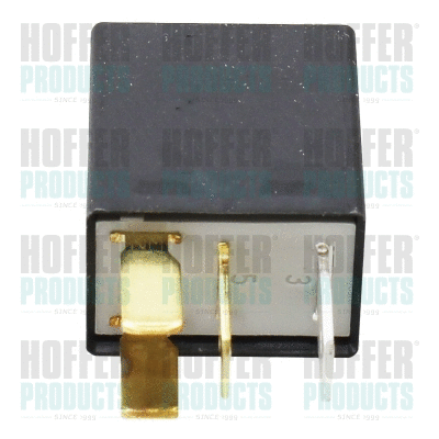 Minuterie multifonctions HOFFER H73237028