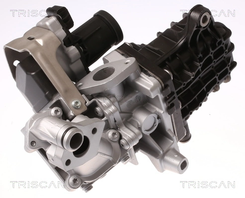 Vanne EGR TRISCAN 8813 28046
