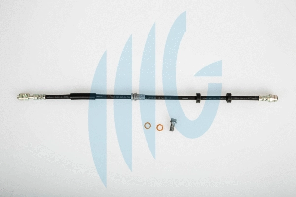 Flexible de frein RICAMBIFLEX GM 02020136