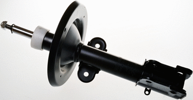 Amortisseur DENCKERMANN DSB055G