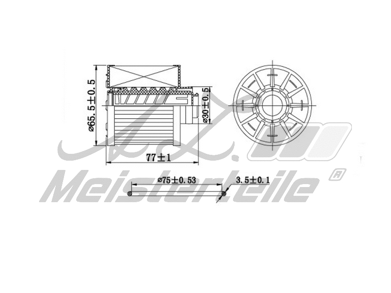 Filtre à carburant A.Z. Meisterteile AZMT-41-020-1417