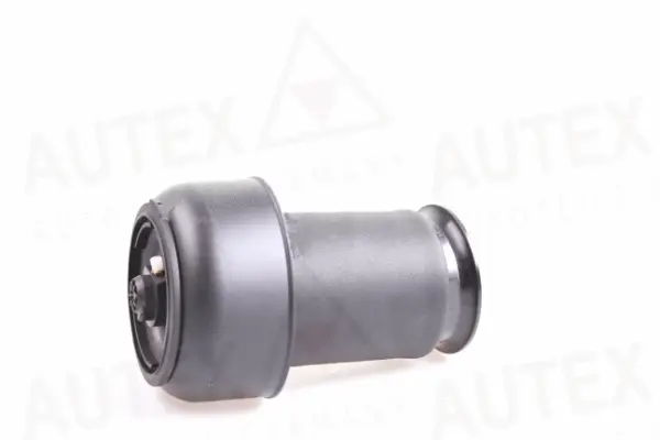 Ressort pneumatique, châssis AUTEX 933069