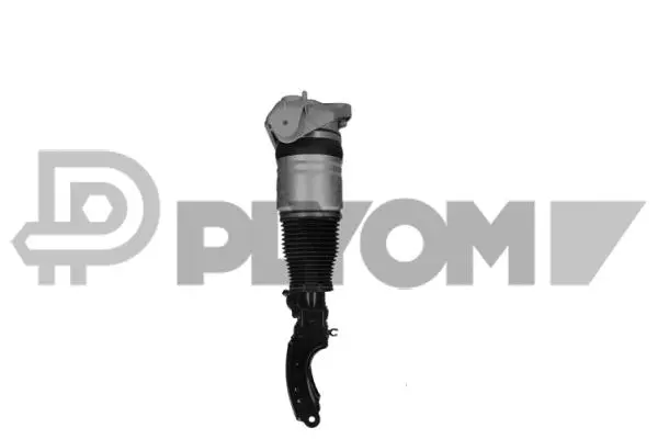 Armortisseur pneumatique PLYOM P752019
