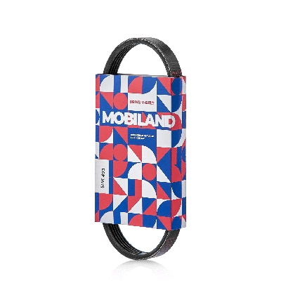 Courroie trapézoïdale à nervures MOBILAND 5PK493