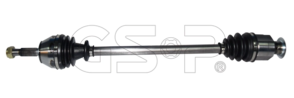 Arbre de transmission GSP-BR 250095