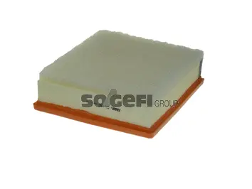 Filtre à air FRAM CA11360
