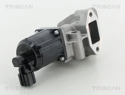 Vanne EGR TRISCAN 8813 43025