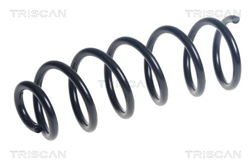 Ressort de suspension TRISCAN 8750 25139