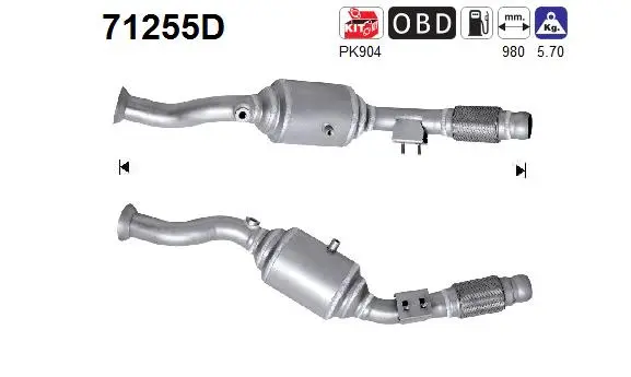 Catalyseur AS 71255D