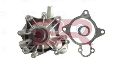 Pompe à eau, refroidissement du moteur BOTTO RICAMBI BRAC9725A