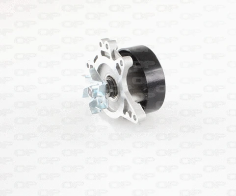 Pompe à eau, refroidissement du moteur OPEN PARTS WAP8455.00