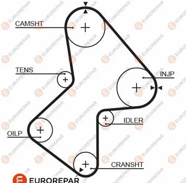 Courroie crantée EUROREPAR 1633142980