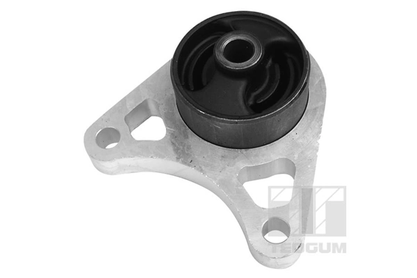 Suspension, Différentiel TEDGUM 01164615