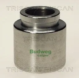 Piston, étrier de frein TRISCAN 8170 234312