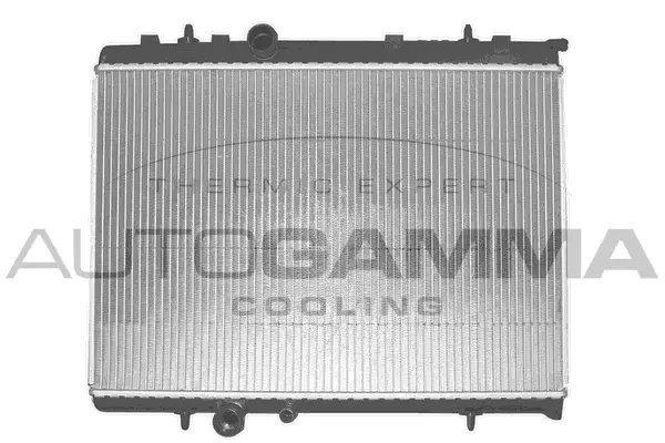 Radiateur, refroidissement du moteur AUTOGAMMA 103171