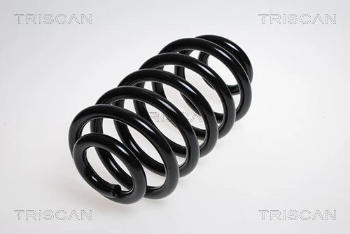 Ressort de suspension TRISCAN 8750 23145