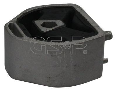 Suspension, boîte de vitesse manuelle GSP-BR 510193