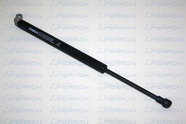 Vérin de hayon, de coffre FERRON 310